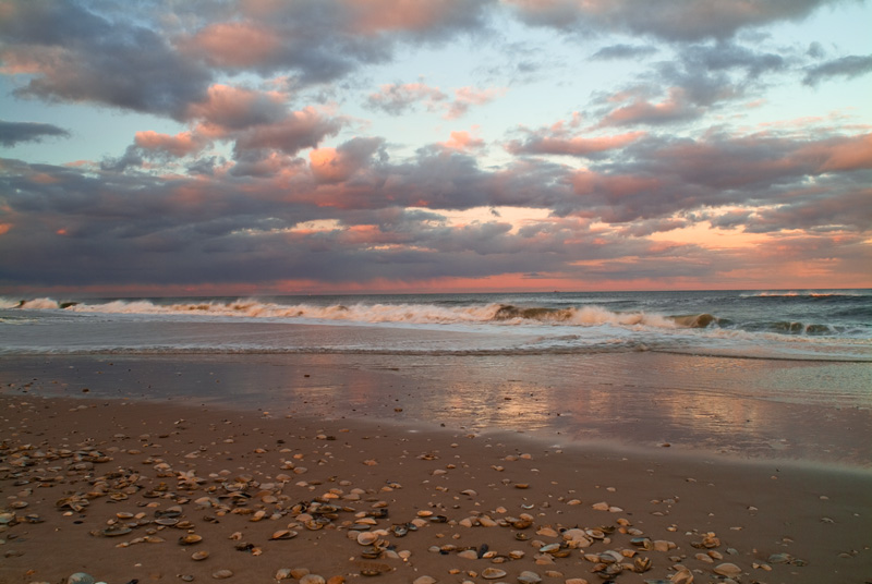 Shells on Beach at Sunset